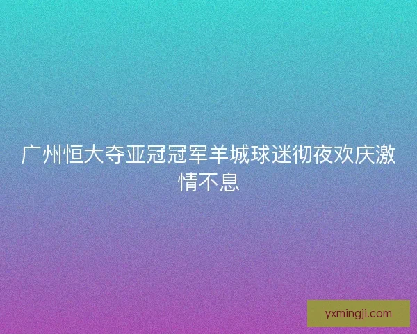 广州恒大夺亚冠冠军羊城球迷彻夜欢庆激情不息